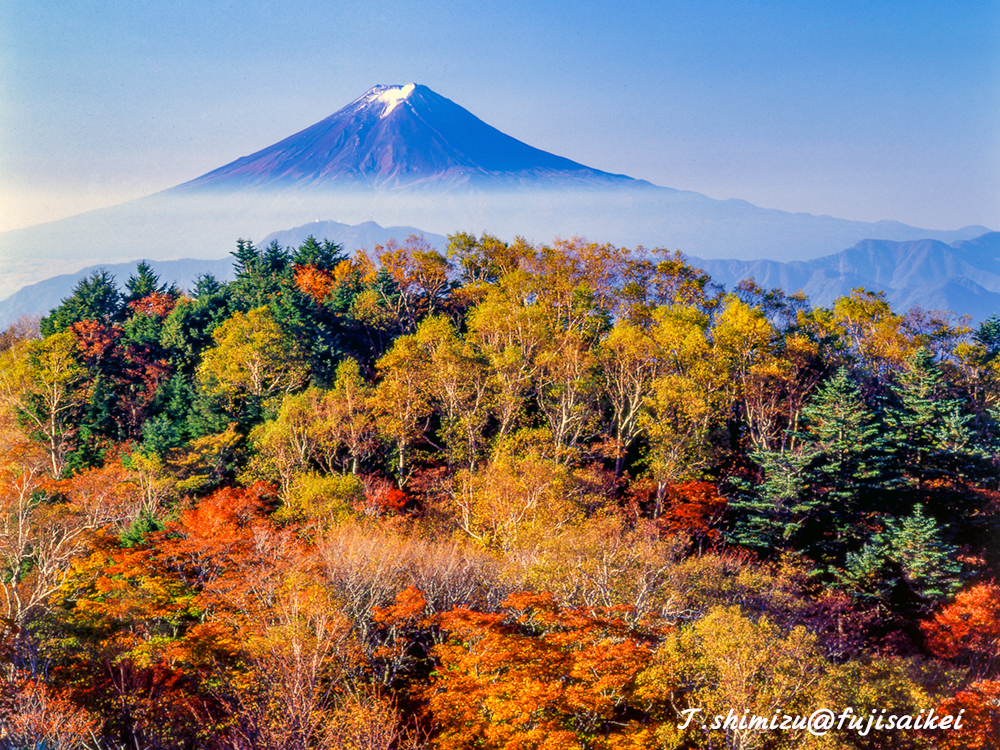 白谷丸からの富士山と紅葉