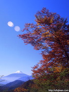 山梨県大月市で撮影した紅葉と富士山、逆光の太陽光がワンポイント