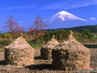 長閑な農村地帯、静岡県富士宮市で撮影した秋の風景と富士山