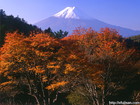 山梨県三つ峠で撮影した真っ赤な紅葉と富士山