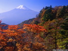 山梨県三つ峠からのドウダンツツジと富士山