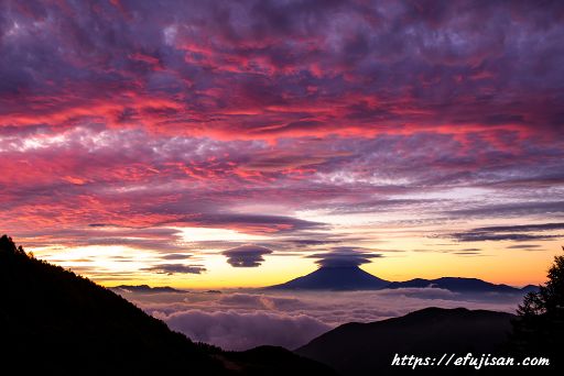 真っ赤に焼けた雲と富士山、笠雲そして雲海