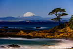 立石海岸で撮影した真夜中の松と富士山