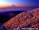 山梨県国師ケ岳のセピア色の雪景色と富士山