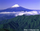 山梨県雁ケ腹擦山で撮影した新緑の富士山と雲海