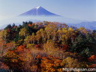 山梨県白谷ケ丸で撮影した紅葉と富士山