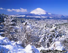 降雪後の朝｜神奈川県乙女峠からの雪景色