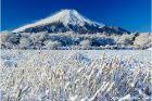 山梨県花の都で雪が降った冬の寒い朝に撮影した富士山と雪景色