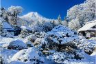 庭園として綺麗に整備された忍野村の保存地域です。雪景色となった庭園と富士山が美しい