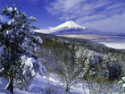 山梨県二十曲峠で撮影した雪景色と富士山