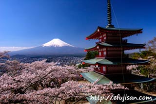 富士吉田浅間神社で撮影した桜と富士山｜五重の塔が美しい