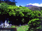 白糸の滝と富士山は隠れたポイントで虹を見ることもできます。
