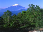 旧500円札の絵柄になった有名な撮影地｜新緑と富士山