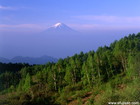 大平牧場で撮影した新緑と富士山