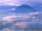 山梨県櫛形山から撮影した雲上の夏富士