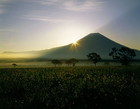 朝霧高原で撮影したご来光と富士山