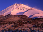 静岡県水ケ塚公園で見た冬の雪景富士山