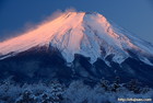 冬の富士山が紅富士になり美しい