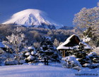 忍野村の庭園と雪景色｜雪景色と富士山