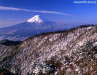 カメラマンの人気撮影ポイント｜三つ峠から見た雪景色