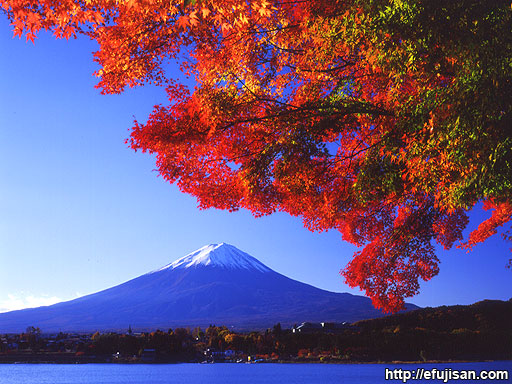 秋の富士山 富士彩景
