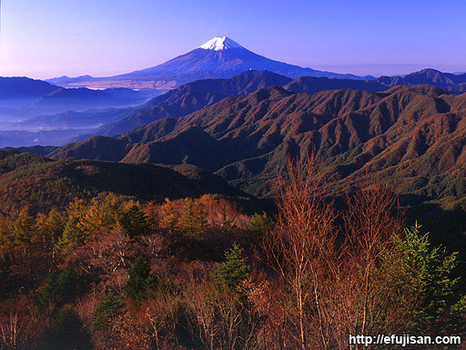 雁ケ腹擦山からの紅葉と富士山