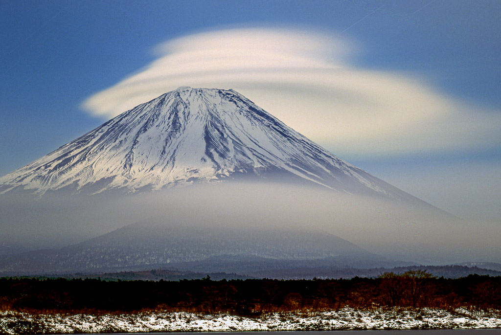 超特価 全倍版 富士山写真大賞 額装写真 ネムノキと富士 河口湖にて 額装サイズ約780×1050mm FAA2027