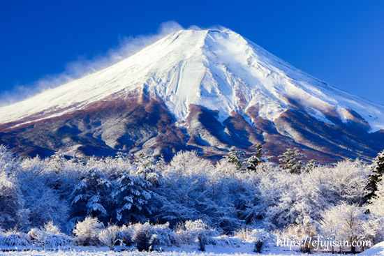 山梨県南都留郡山中湖村 花の都公園で撮影した雪景色の富士山