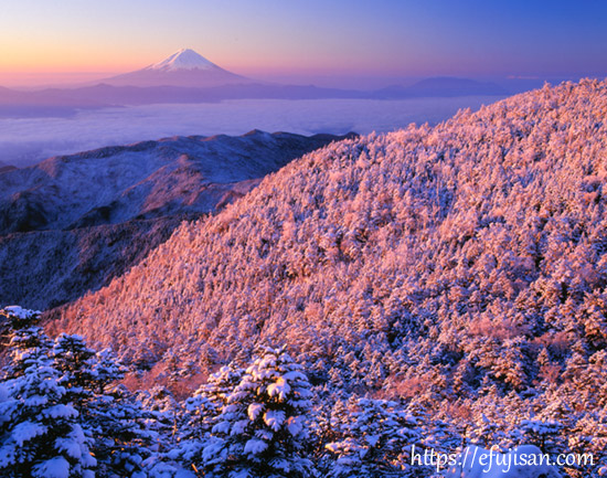 山梨県山梨市 国師ケ岳で撮影した国師ケ岳の雪景色と富士山