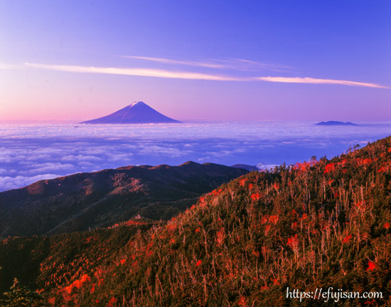 山梨県山梨市 国師ケ岳で撮影した秋の富士山