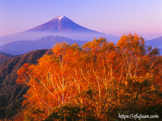 山梨県大月市 白谷ケ丸で撮影した秋の富士山