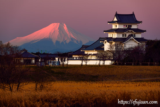 茨城県から撮影した関宿城と紅富士