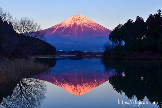 静岡県富士宮市 田貫湖で撮影した逆さ紅富士