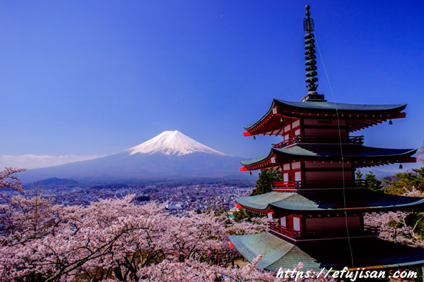 富士吉田浅間神社と桜と富士山