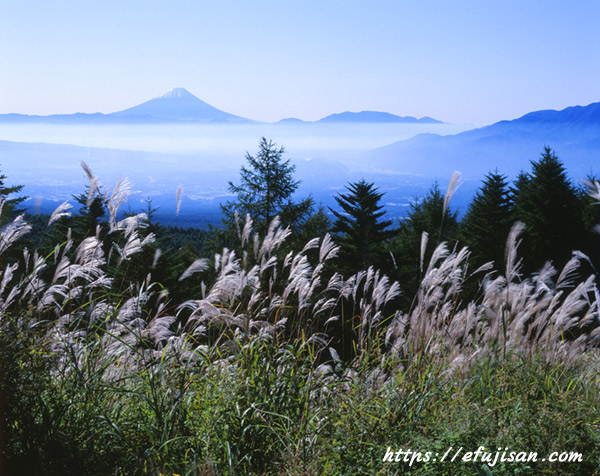 紅葉と富士山／富士見平展望台