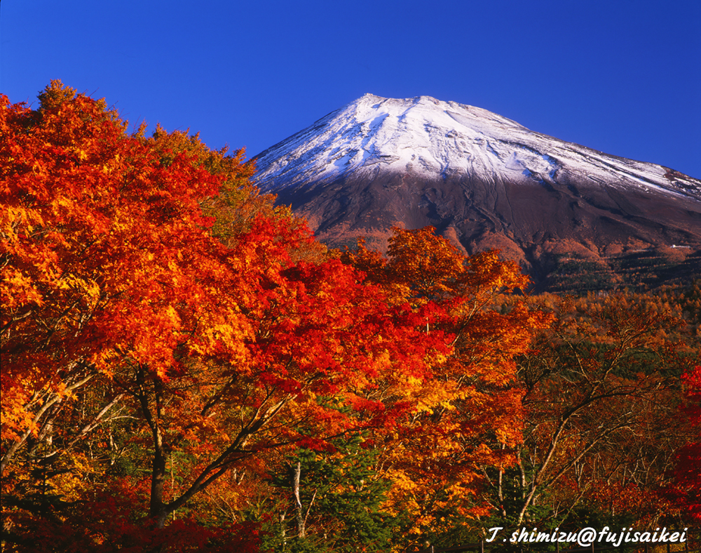 西臼塚の紅葉と富士山