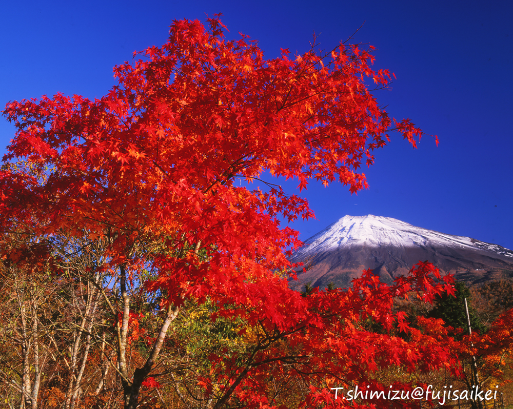 紅葉と富士山／西臼塚