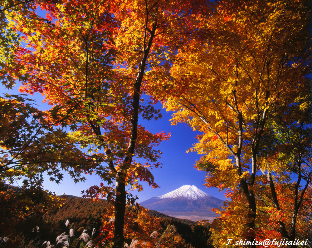紅葉と富士山／二十曲峠