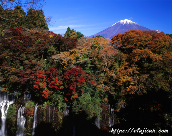 紅葉と富士山／白糸の滝