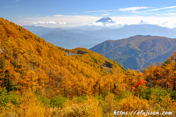 紅葉と富士山／池の茶屋林道