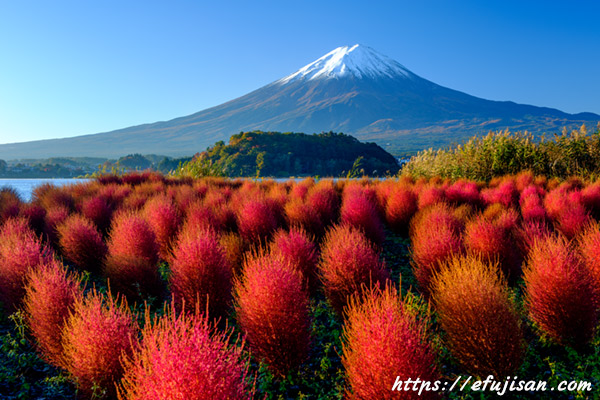 紅葉と富士山３／河口湖