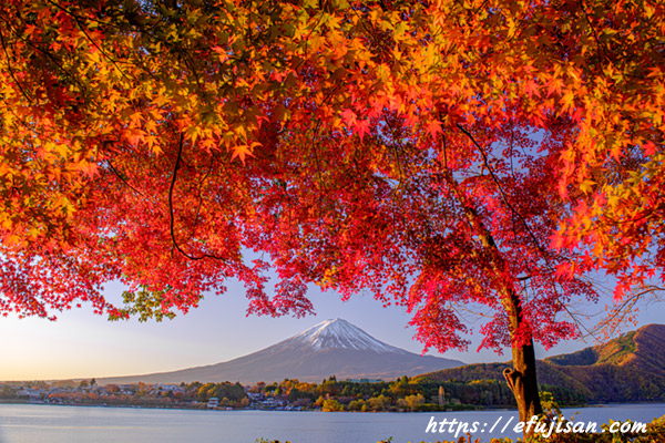 紅葉と富士山１／河口湖