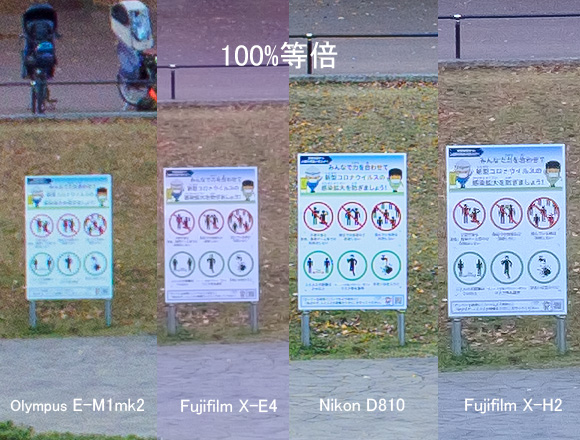 ニコンD810とフジフィルムXH2とフジフィルムX-E4とオリンパスE-M1マーク2の画像比較