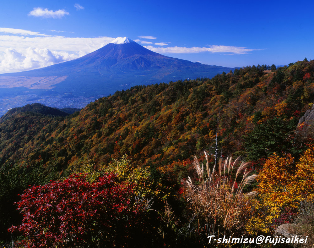 紅葉と富士山／三つ峠