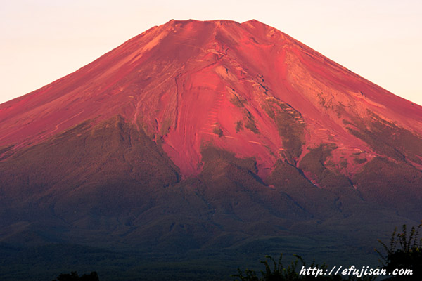 赤富士 絶景富士山写真 - 絵画/タペストリ