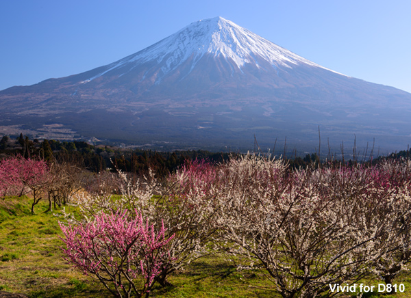 ニコンD810で撮影した富士山