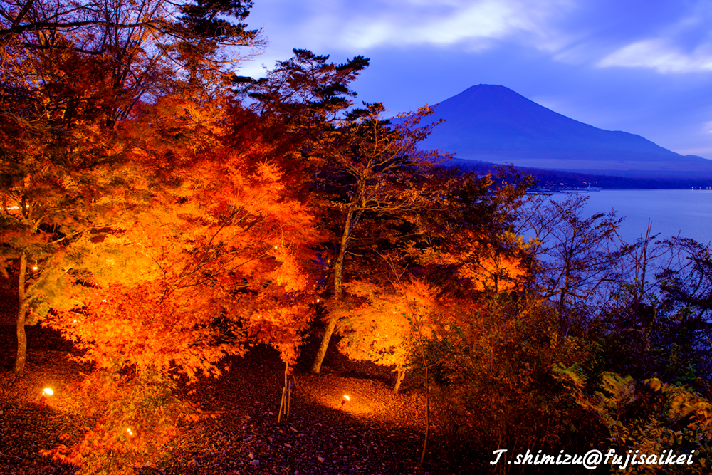 紅葉と富士山／山中湖