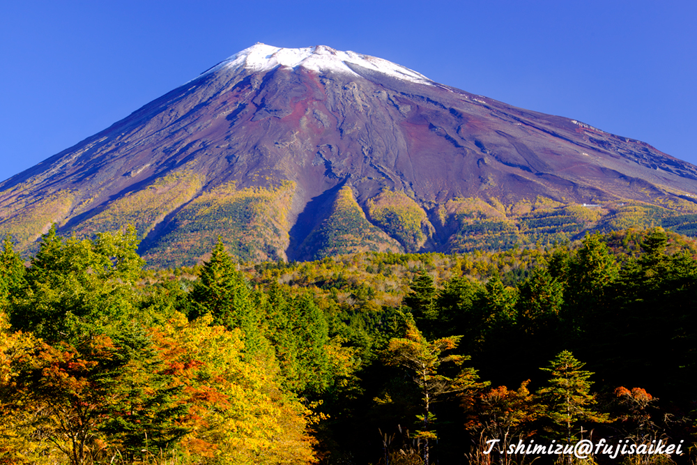 紅葉と富士山２／西臼塚
