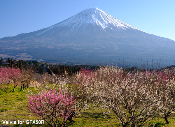 フジGFX50Rで撮影した富士山