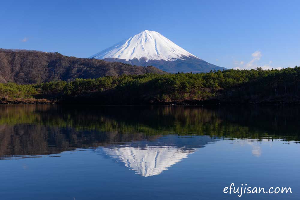 インスタ映えの富士山／逆さ富士／西湖